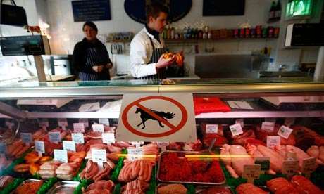 no horsemeat