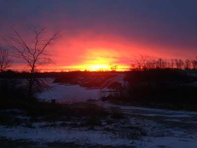 credit - herman brothers