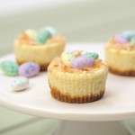 Easter Mini Cheesecakes