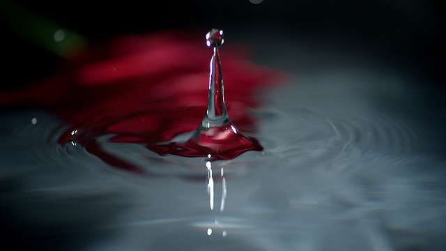 credit - Marco Musso