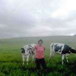 Holstein Replacement Heifers KIMG0065_edit