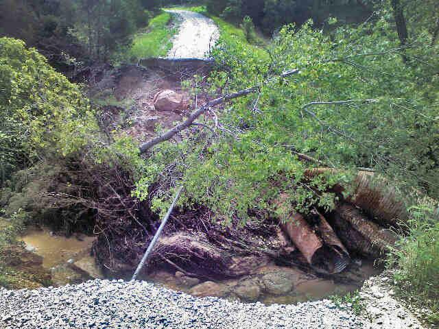 credit - Oklahoma Department of Wildlife Conservation