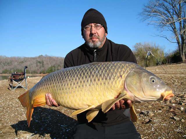 photo credit - Tim Creque