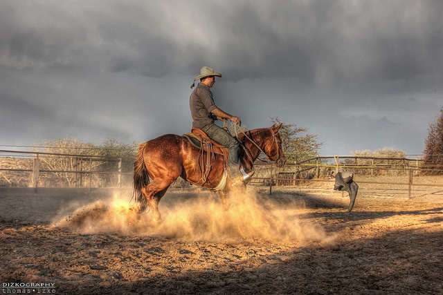 photo credit - Thomas Izko