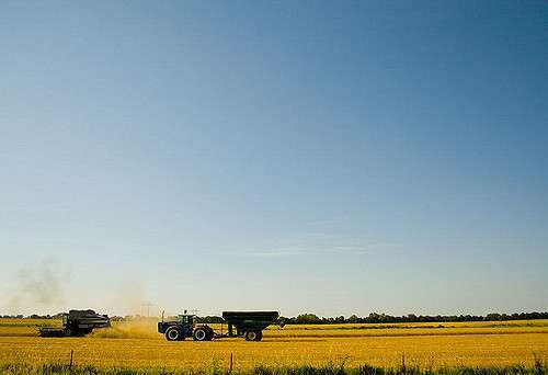 Photo credit - ercwttmn