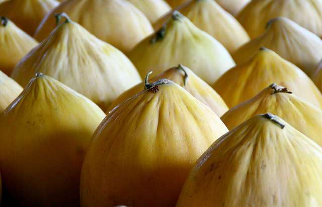 photo credit - liz west