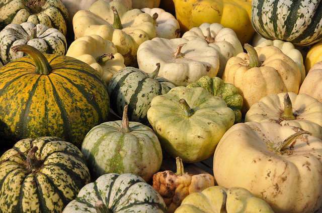 photo credit - Whit Andrews