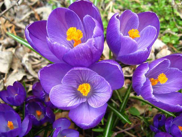 photo credit - Natalia Wilson