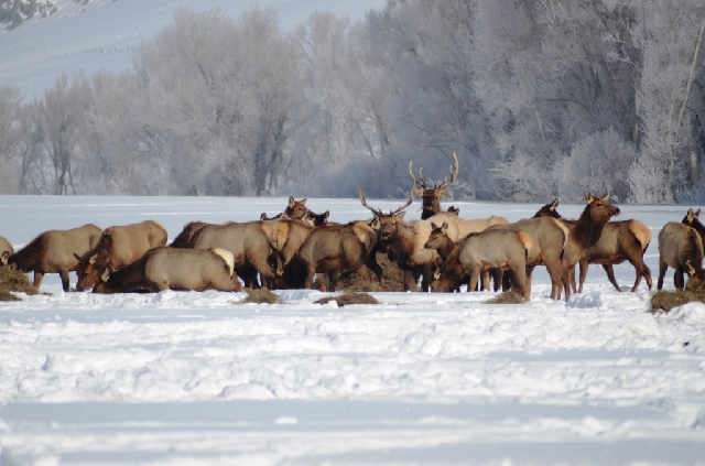 colorado parks and wildlife