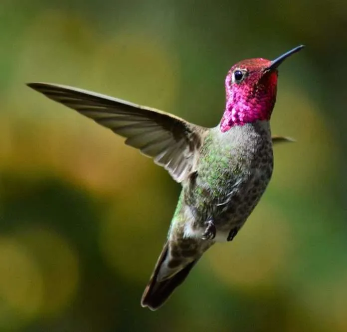 bryan-hanson-n2TahopaXhQ-unsplash (1)