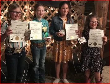 highpoint blackjack 2