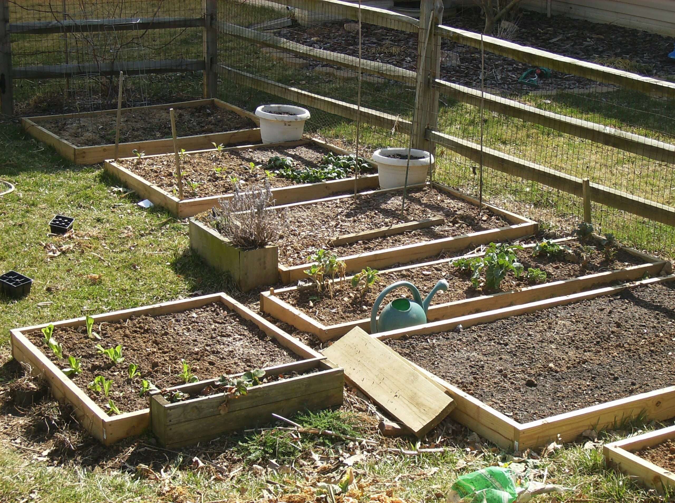 Why a raised bed to grow vegetables? Rural Messenger