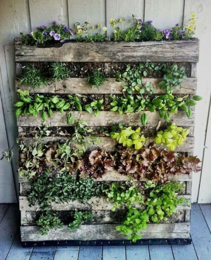 Vertical-Pallet-Planter