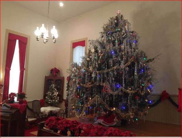 Christmas trees buchman