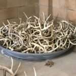 1587C23A-21CA-409D-A038-11B3132BEA88