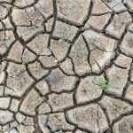drought radhey-khandelwal-pPKlQL4D9Uk-unsplash