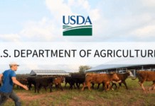 USDA Encourages Ag Producers, Residents to Prepare for Winter Storm Fern