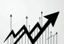Pause and Get Perspective on Current Record Cattle Prices