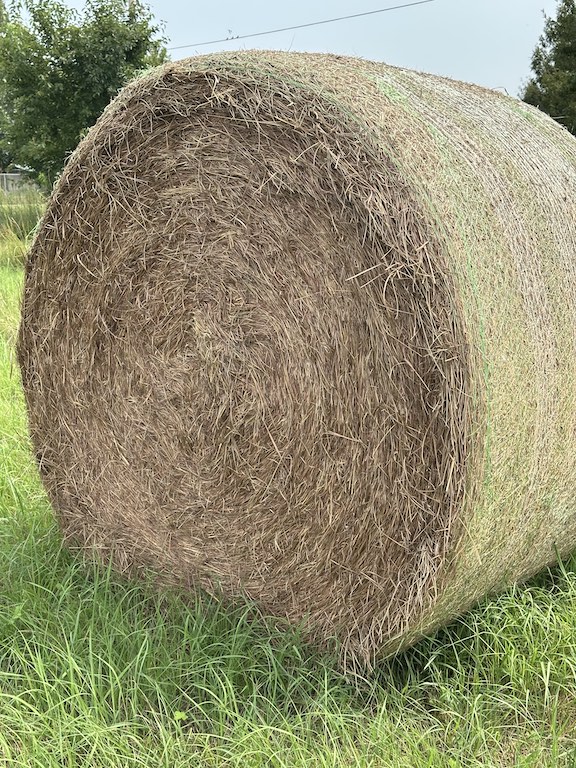 hay