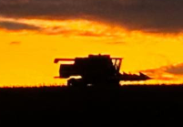 KFU Statement on the Federal Government’s Farmer Bridge Assistance Program