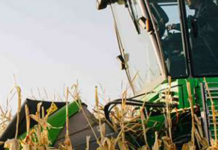 K-State Graduate researcher Rayhaan Kabenge is growing digital tools that empower farms