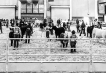 Kansas Beef Expo this weekend at the Kansas State Fairgrounds