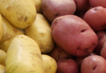 Potato…Po-tah-to: Knowing the variety makes a difference in how you cook versatile vegetable