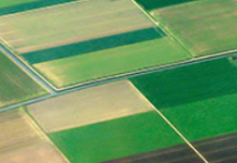 Kansas land values reflect stability