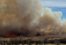 Kansas Forest Service wildfire update