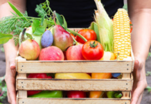 How to donate homegrown produce to a food shelf