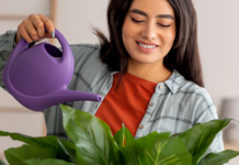 Spring into houseplant care